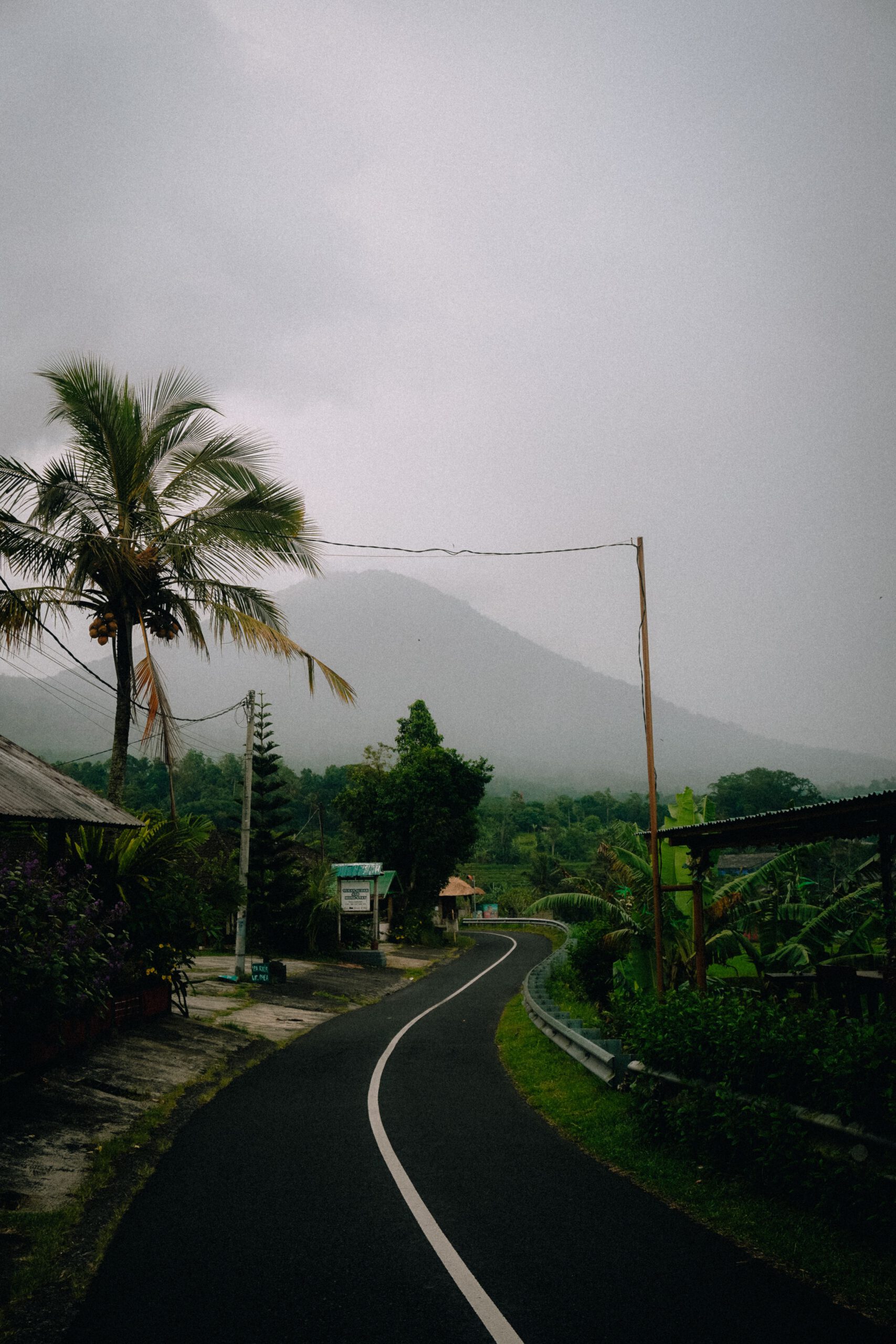 A scenic rural road in Bali, Indonesia, with foggy mountain and palm trees offering a serene landscape.